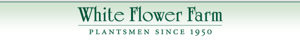 White Flower Farm - Plantsmen since 1950