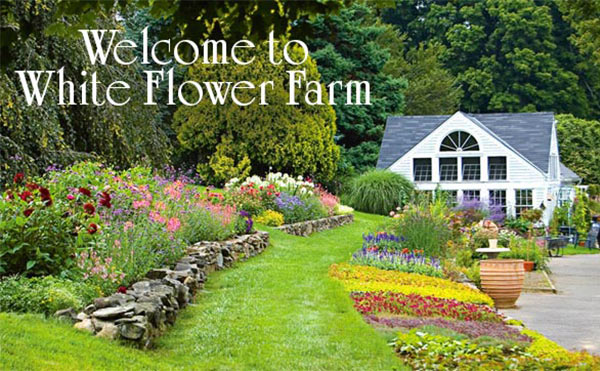 Welcome to White Flower Farm